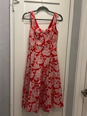Fiori Di Zucca Red White Paisley Dress